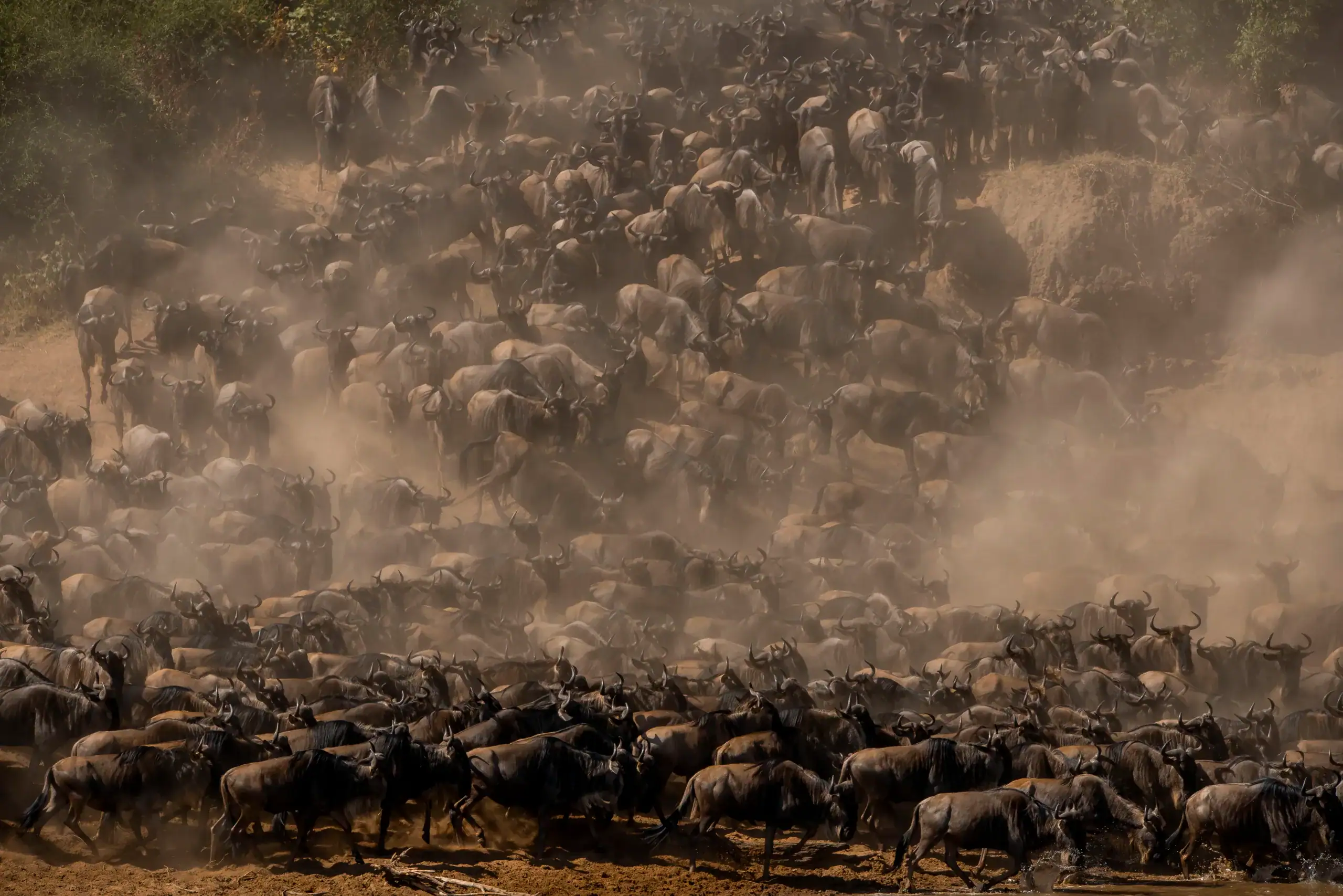 Great Migration 2026 — Full Calendar