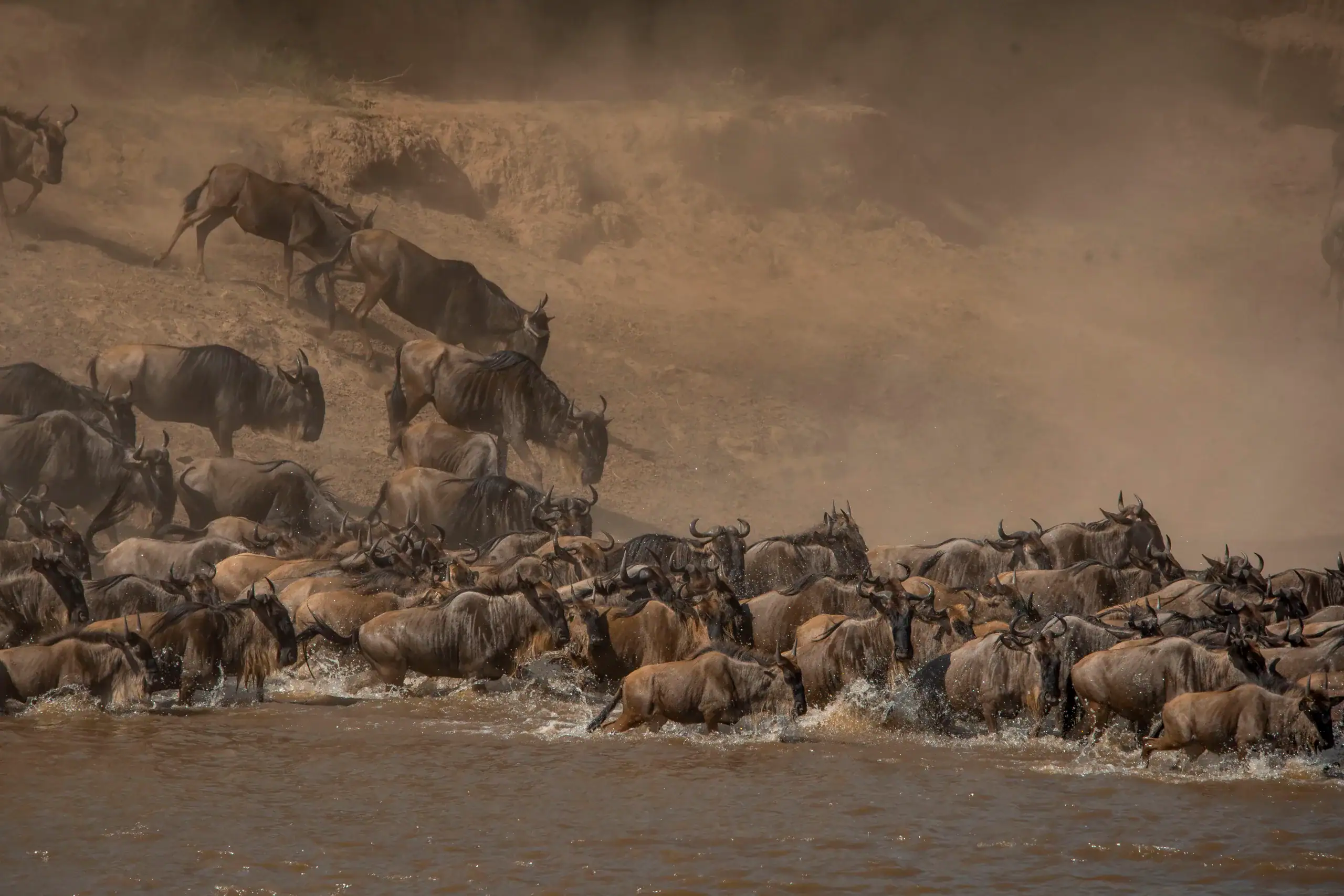 5-Day Great Migration Safari